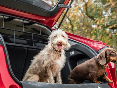 Honda launches new range of dog accessories, inspired by April Fools' joke