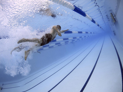 Underwater photo of swimmers in a swimming pool Underwater photo of swimmers in a swimming pool